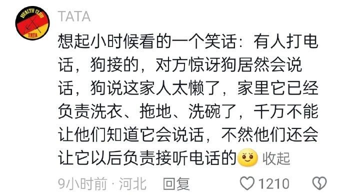 一生好学的边牧老师，已经开始学主人用拖把掏沙发下的玩具了...... 