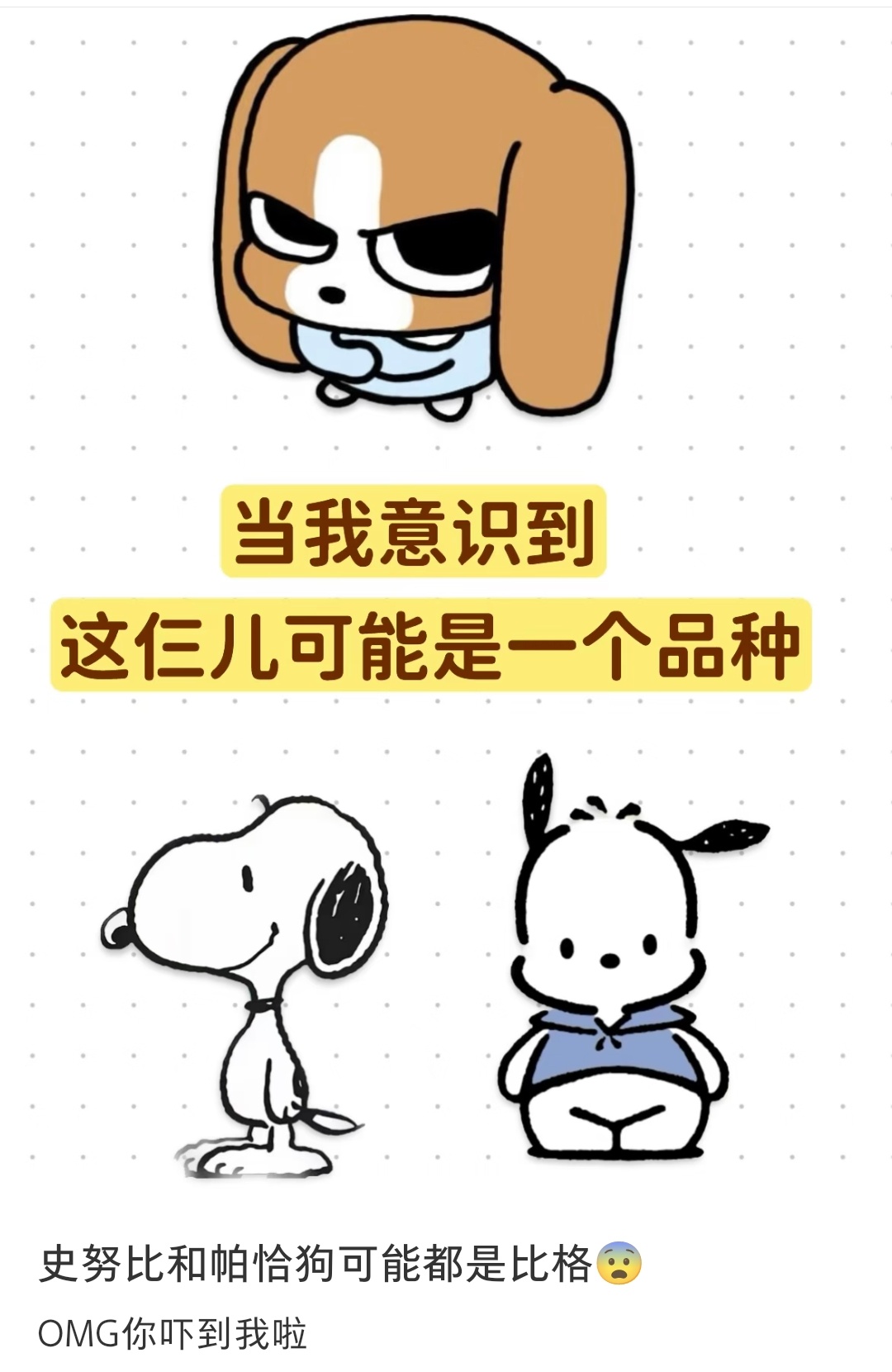 帕恰狗是比格吗，不会吧