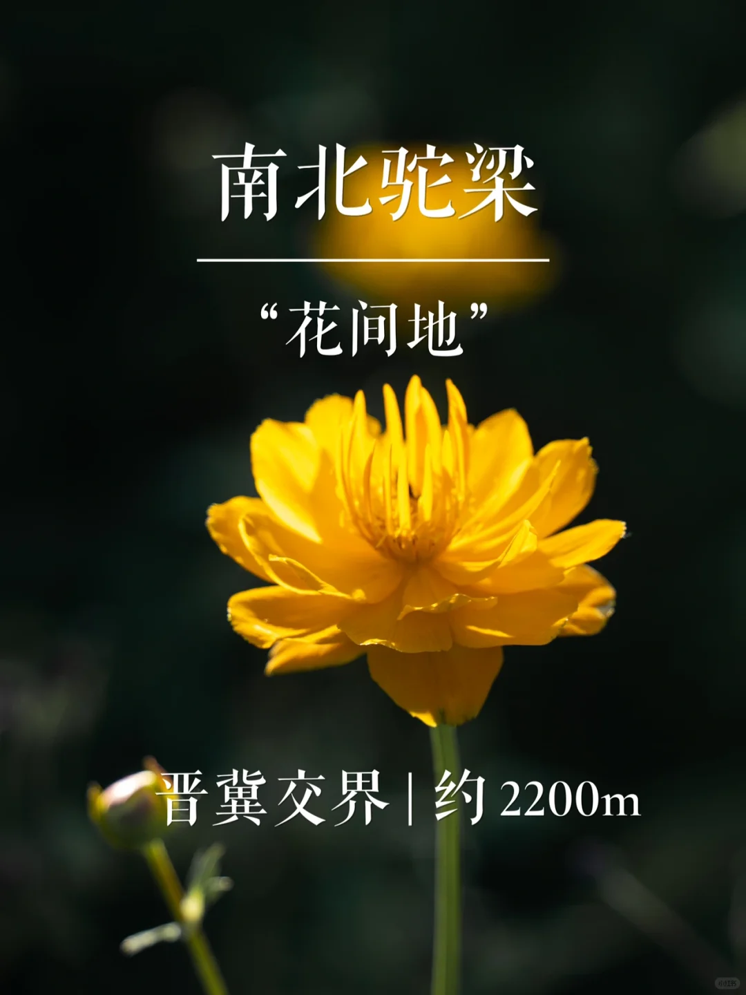 “花间地”南北驼梁 | 华北名山录
