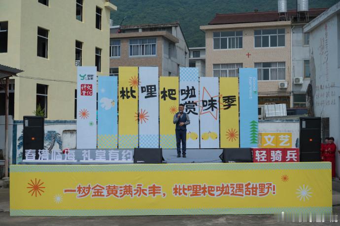 四村抱团闯市场临海枇杷变身致富金果打破村界、四村同心，把 “小散弱” 拧成 “一