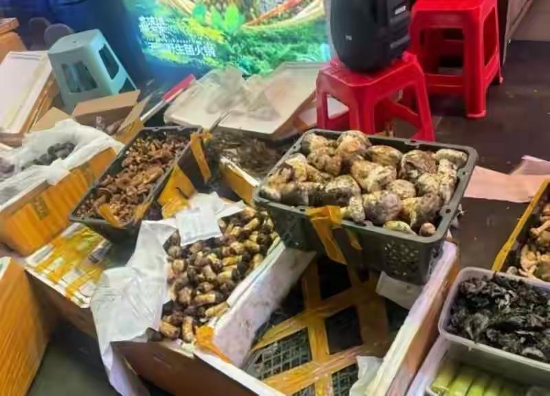 近日，网友发布视频称，在成都市菌婆婆云南野生菌火锅店吃云南菌汤锅时，遇到一个稀奇