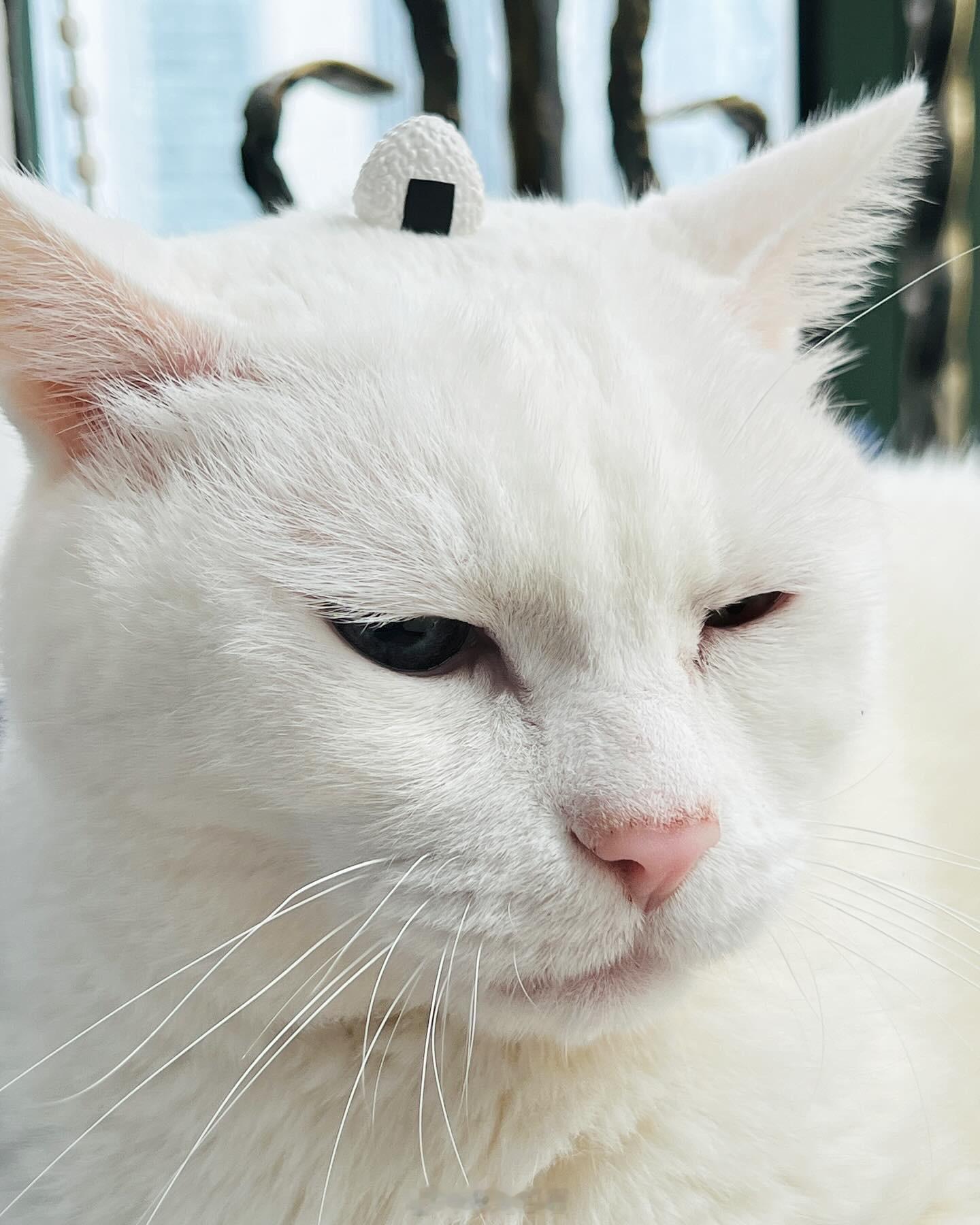 有點陽光，曬曬更香～ ​​​