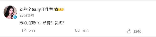 刘些宁方否认和何与恋情刘些宁方称单身 刘些宁工作室否认和何与恋情：“专心拍戏中！