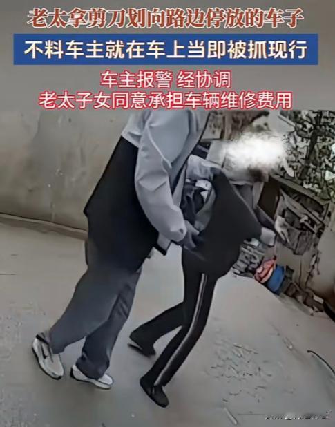 江苏，一老太沿路边走，突然掏出剪刀划向一辆停着的私家车，车主就坐在车里，行车记录