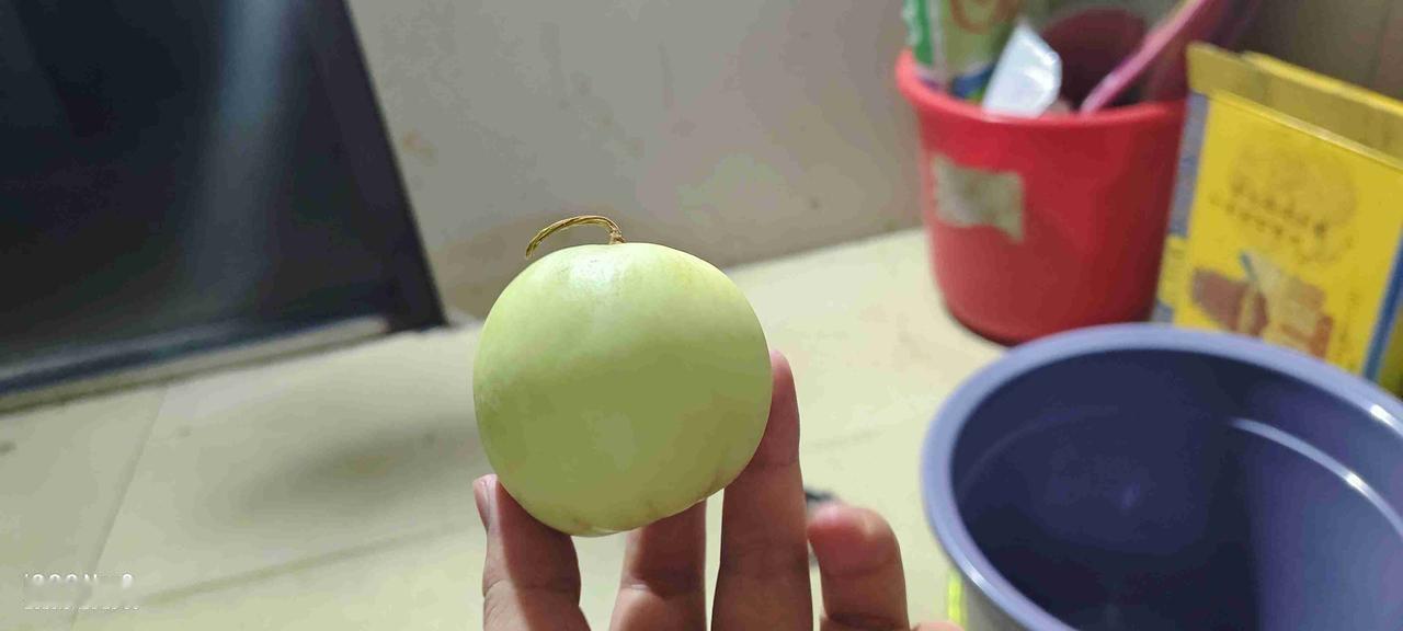 今天同事给我一个这个果子，
但是不知道叫什么，有没有认识的
感觉有点像南瓜，
但