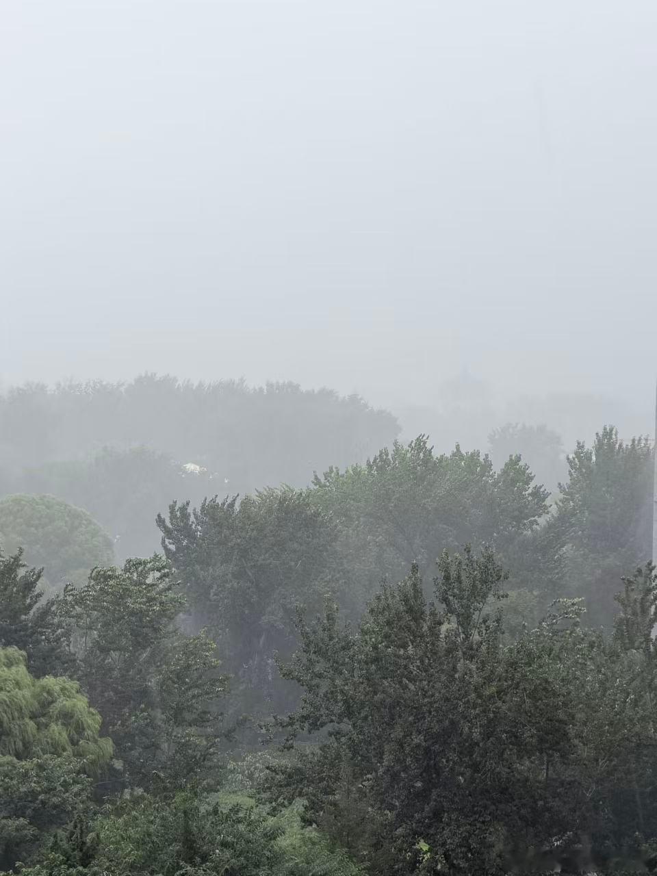 北京今天白天下大雨，傍晚晴了，有火烧云。袁老师发了在家拍的美图来～ 