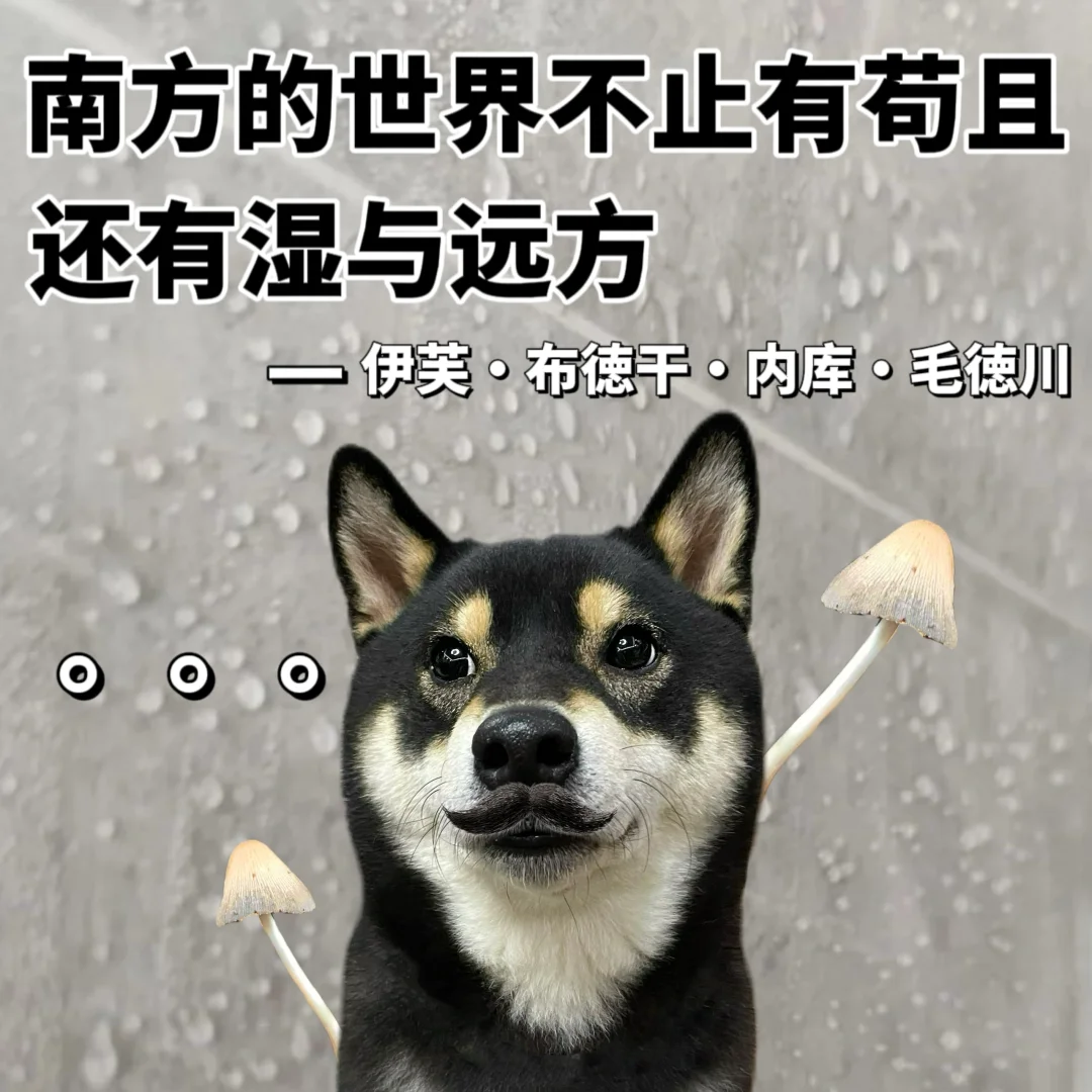 表情包|回南天房子哭了我也哭了😩
