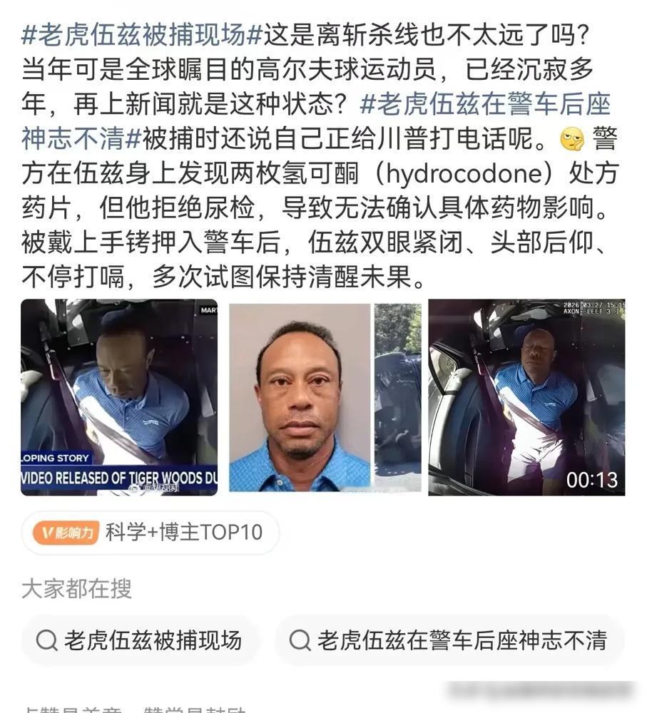 别嘲笑老虎伍兹被捕。他裤兜里的两粒止痛药，叫权力的底裤。
酒精测试0.000。