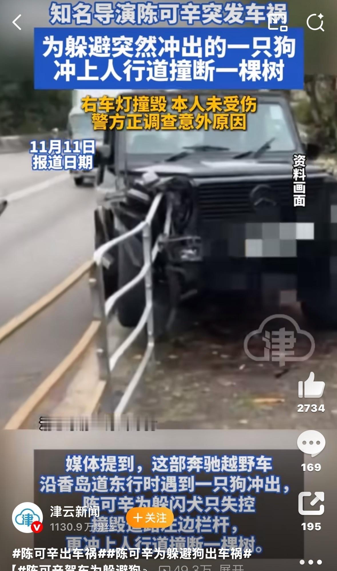 【律师解读：内地类似陈可辛车祸事件会如何处罚？】内地类似陈可辛车祸事件狗主需赔偿