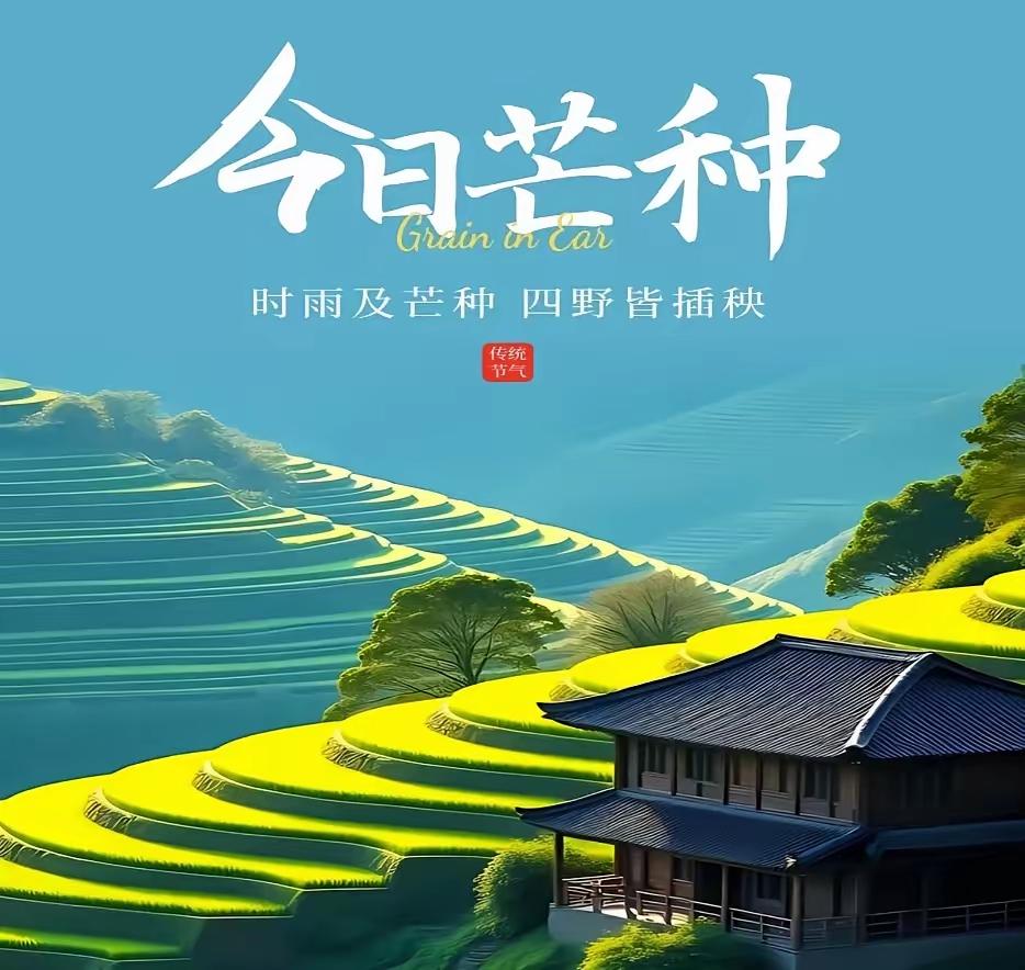 芒种时节，万物并秀，农事繁忙

1. 芒种既至，螳螂应节而生，见天地生物之机。