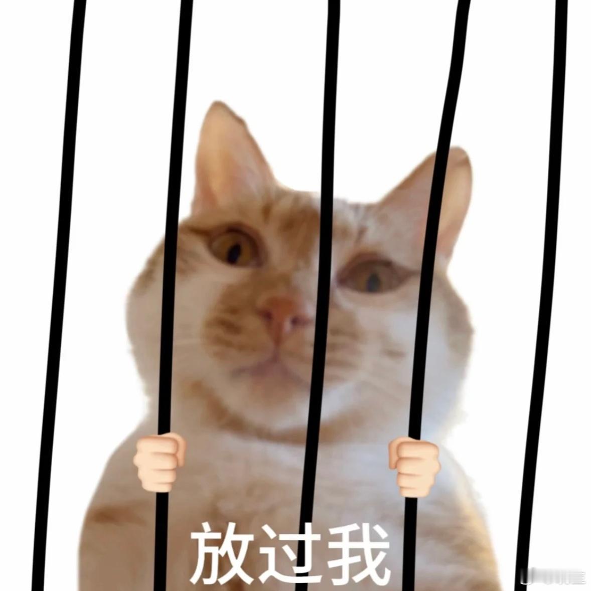 小朋友们还是好好读书吧你说25+面对长期恋爱/婚姻，或者已经结婚的，很多问题比较