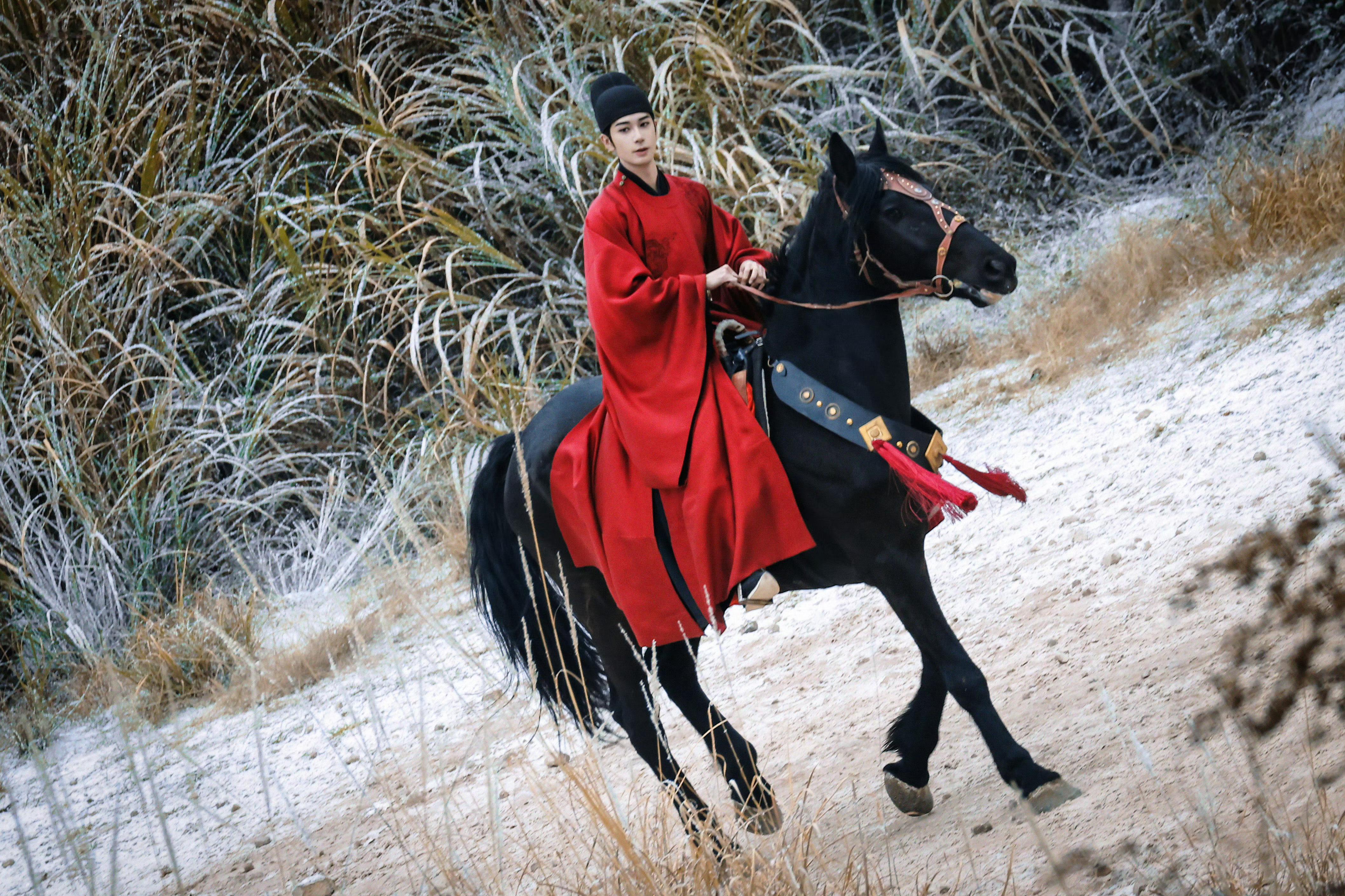 陈星旭  陈星旭金枝红衣骑马   【陆】地长风卷赤裳，【行】飞骏影踏霜苍。【之】