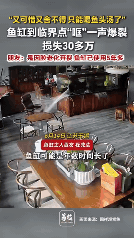 亏大了！江苏无锡，男子在办公室养鱼，没想到鱼缸突然自己炸开了，里面养的十多条名贵