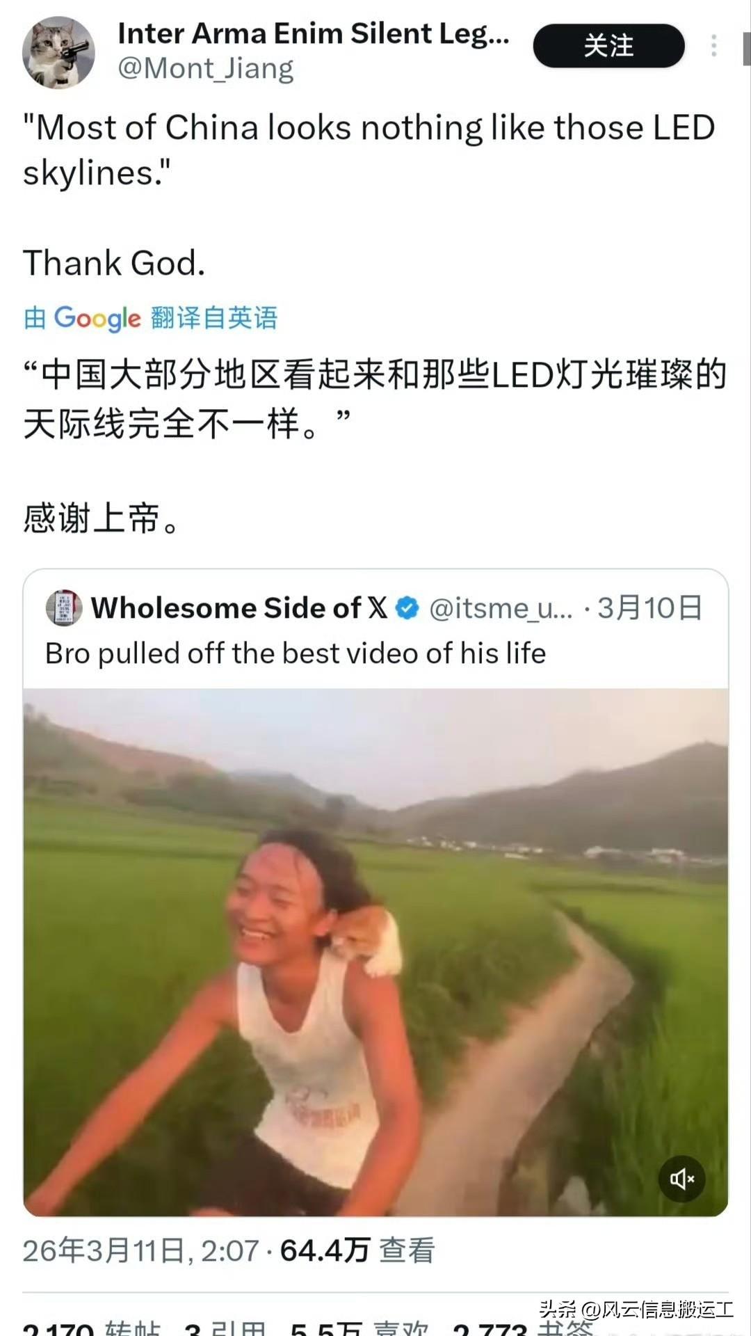 推特上中国少年带着他的猫在乡间小路上骑自行车的视频走红推特，网友纷纷表示这就是幸