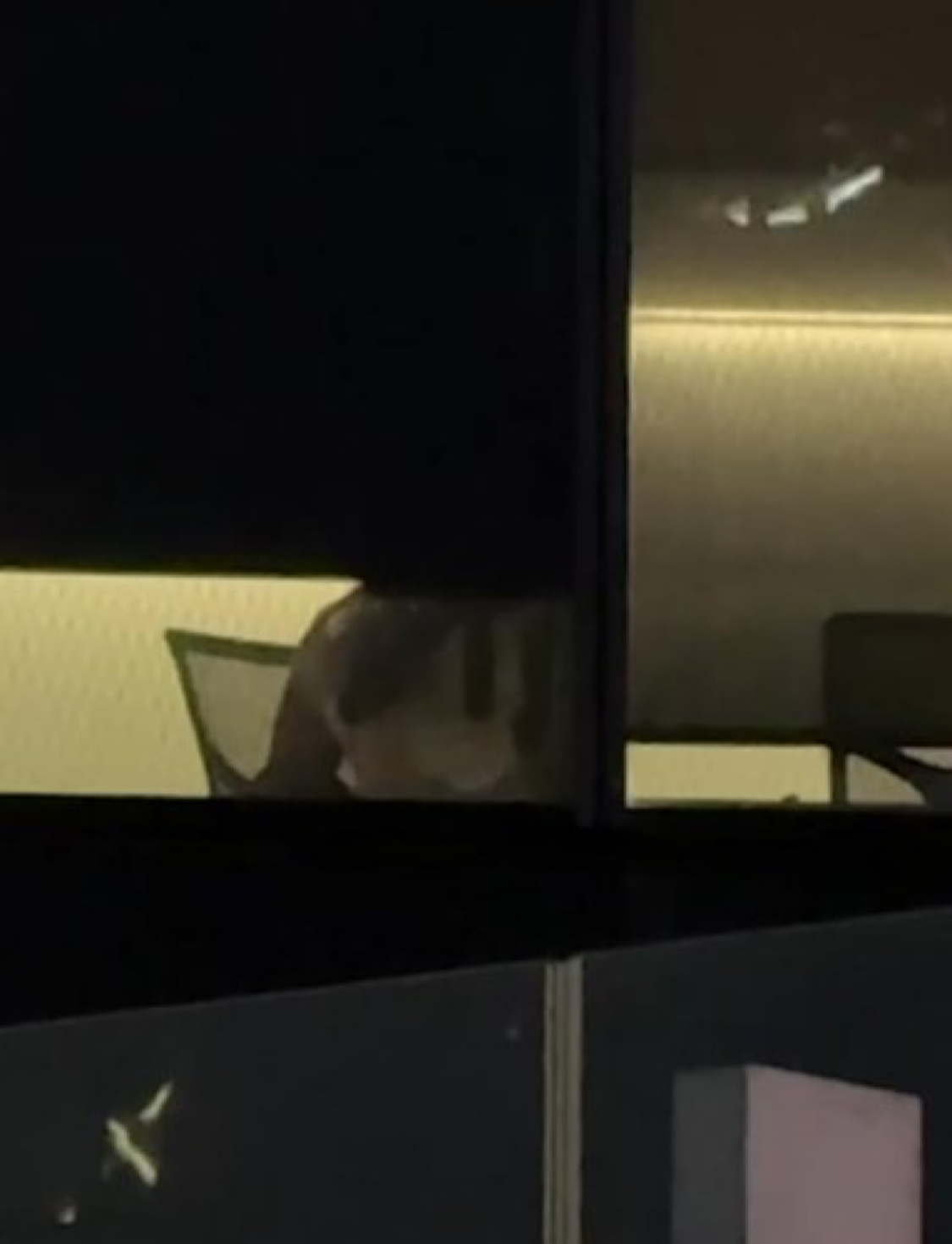 视频看完了，没有网传的大尺度。但会议室的椅子，质量是真好... ​​​