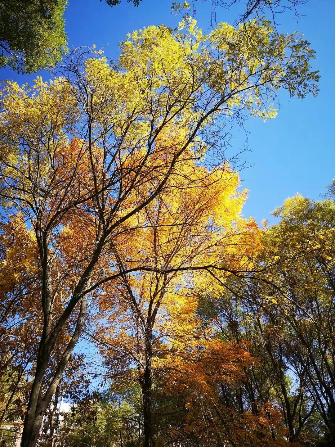 河西走廊南侧是祁连山，北侧在不同地段有不同山脉：张掖境内叫合黎山，山丹境内叫龙首