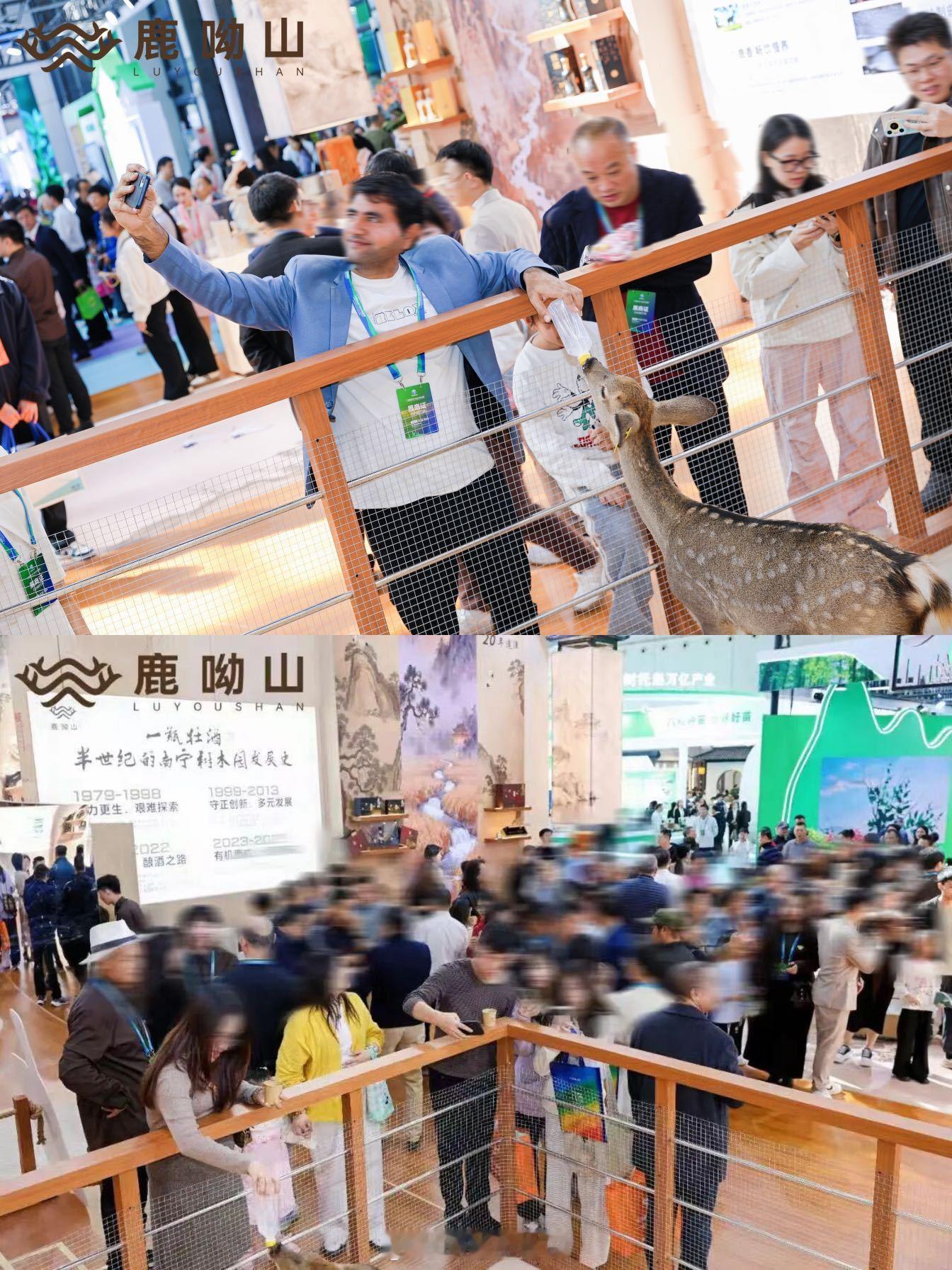 周末去哪玩？这③天来逛会展中心，一定要来这个展位！ 等了一年，2025年广西国际