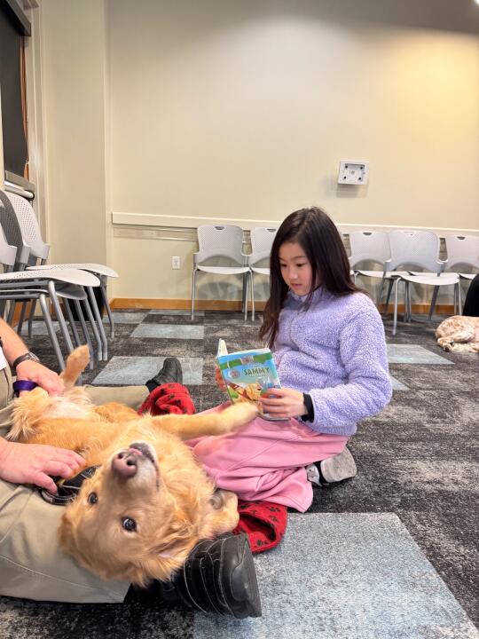 狗也一样，一学习就犯困