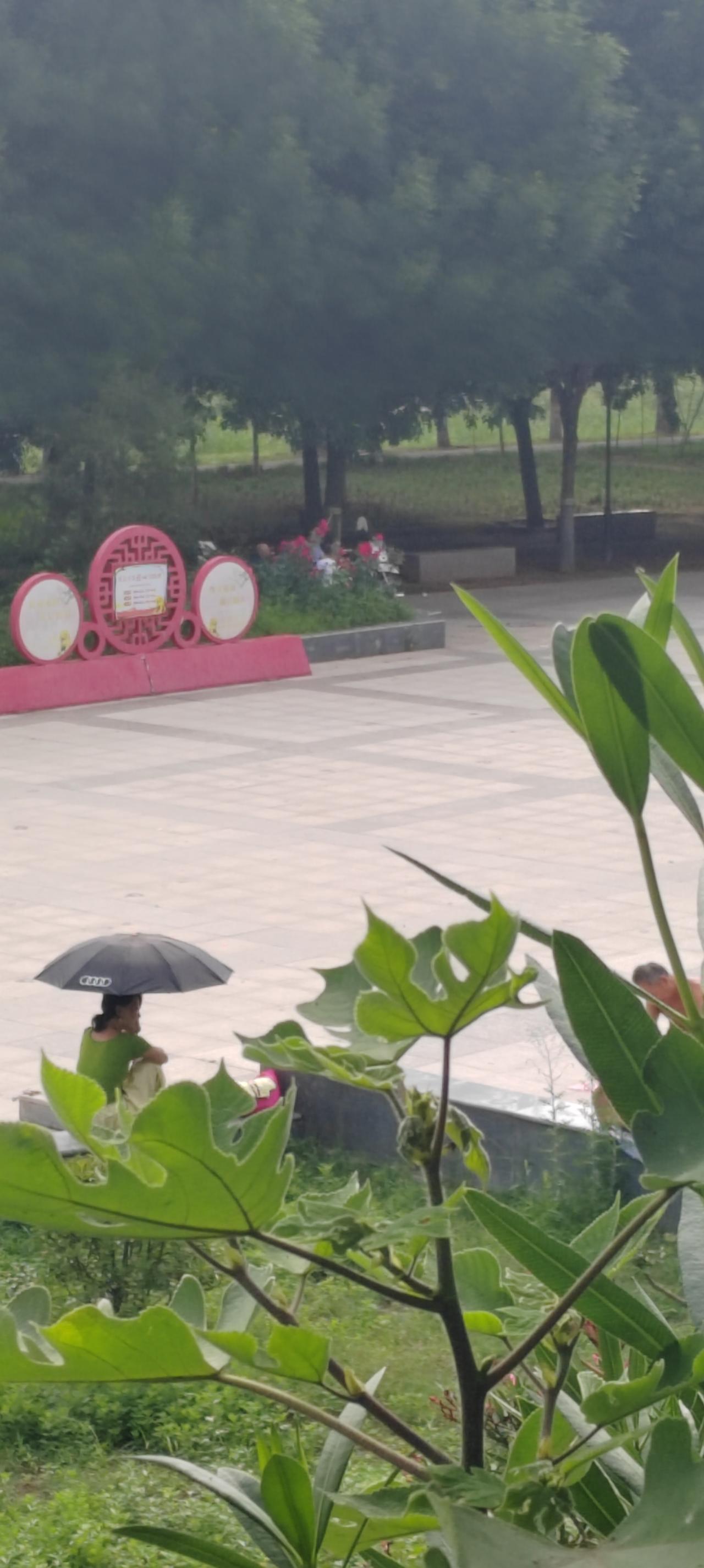 中考第一天后，一位参与监考的同事说：学生是一届不如一届！
他的话让我百感交集。