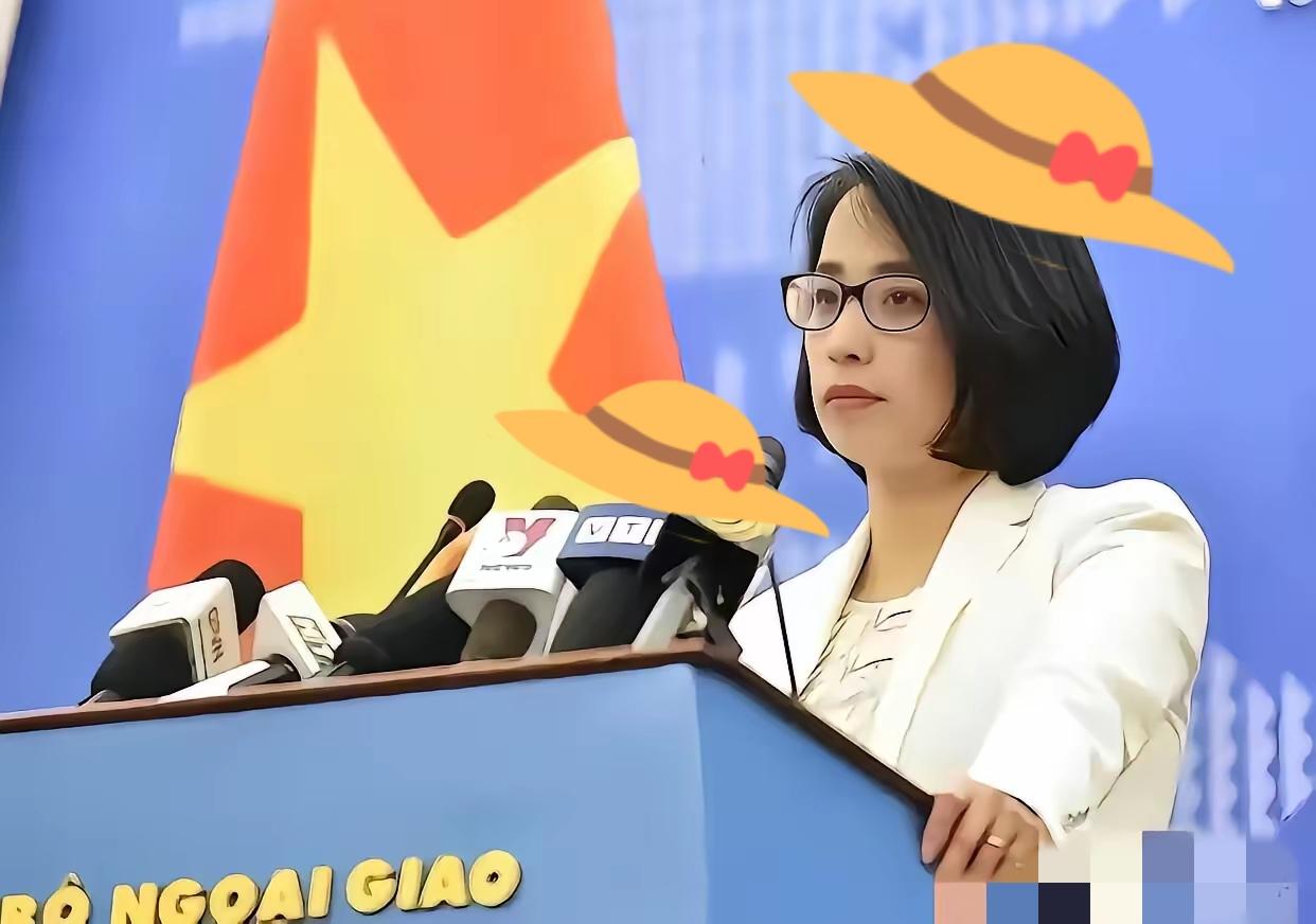 这下热闹了！太平岛一声炮响，越南第一个蹦出来叫阵——问题是，太平岛台湾驻守七十年