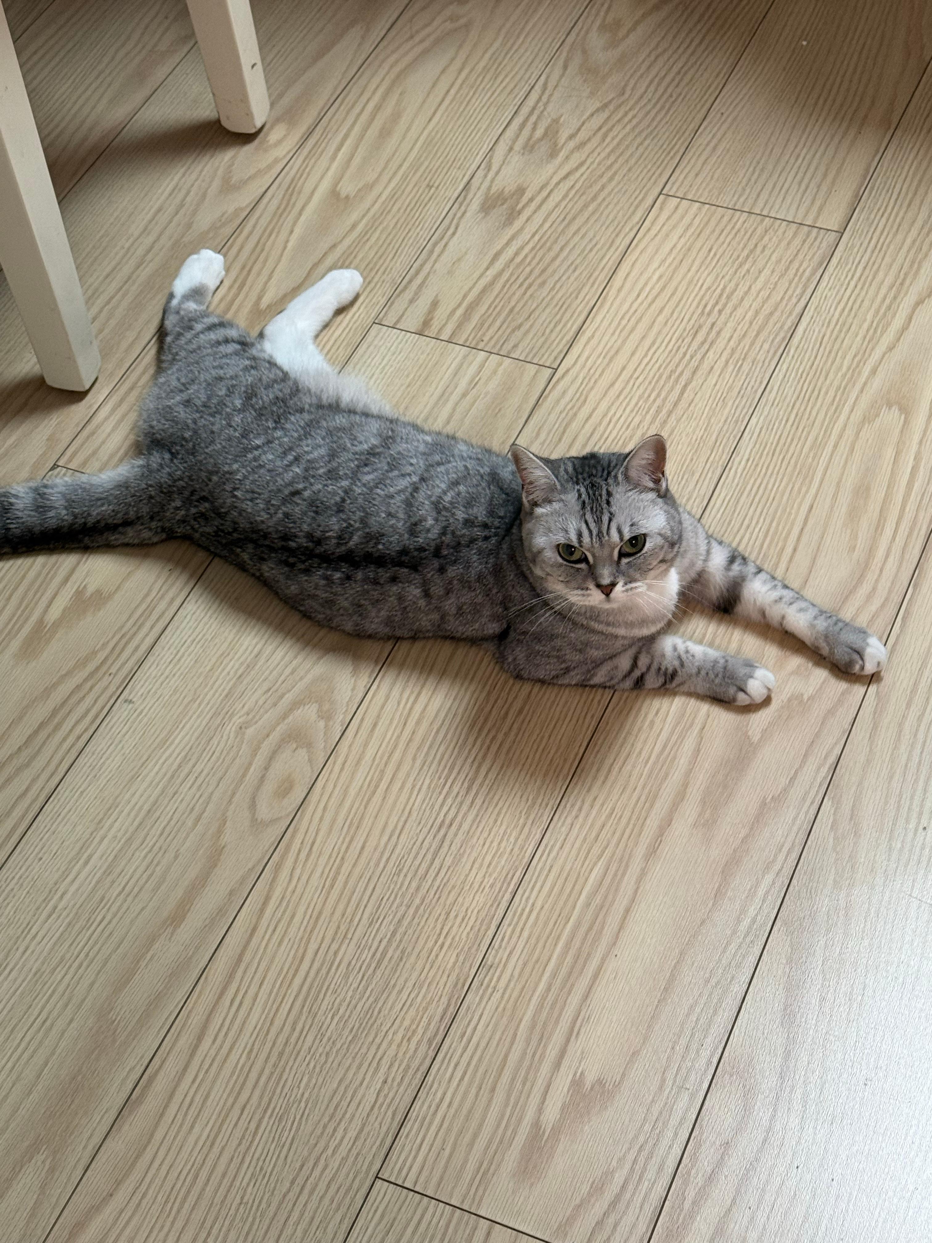 初五迎财神咯！ 