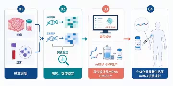 重磅！全球首个mRNA肿瘤疫苗Ⅲ期临床成功，杭州医院开展国内Ⅰ期研究

近期，全