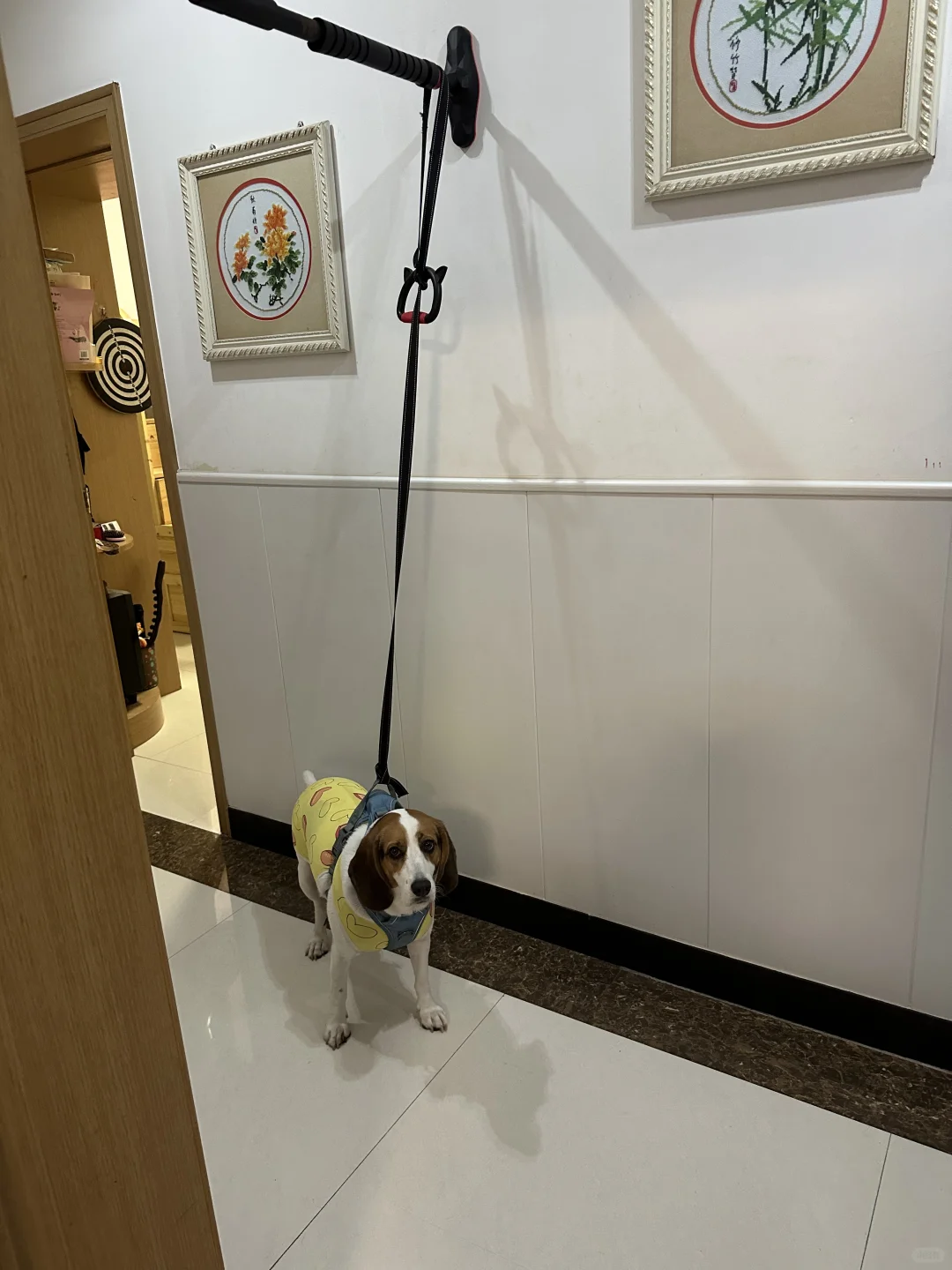 谁来救救小宝