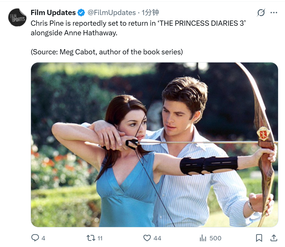 TNABO 克里斯·派恩预计将回归《公主日记3》 