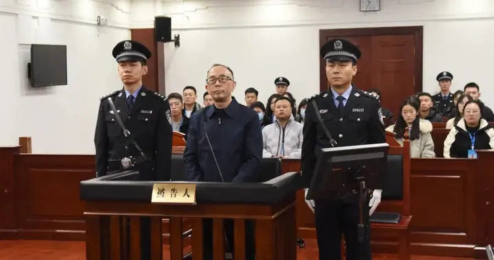 中国中信集团有限公司原党委委员、副总经理徐佐受贿、非法经营同类营业案一审宣判