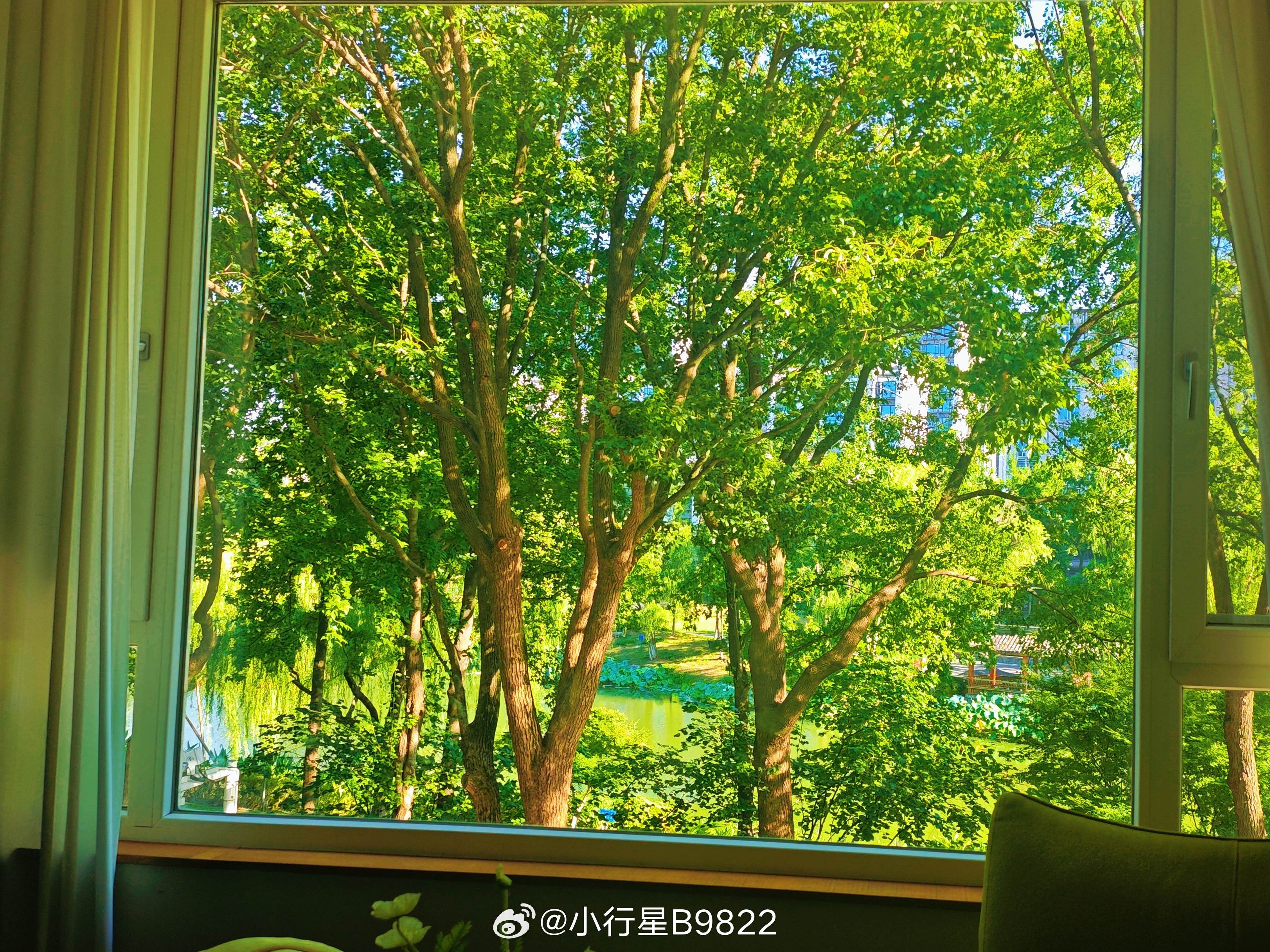 窗外的绿景好明媚啊在衢州吃吃逛逛