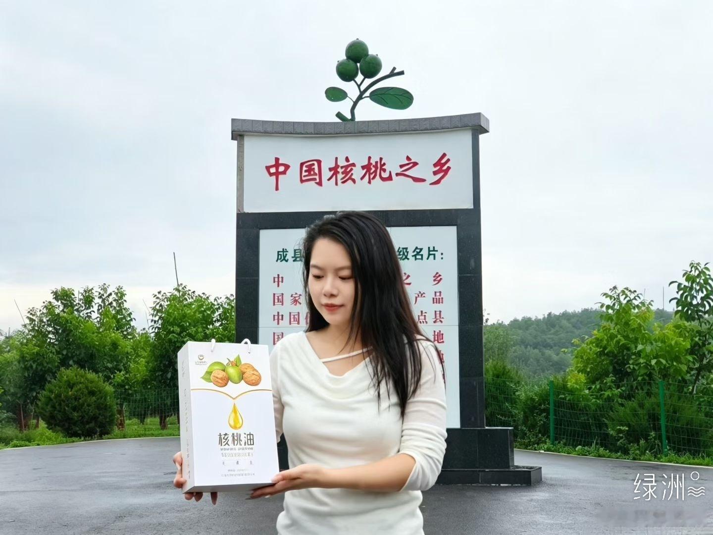 甘味九源山野情 成县核桃产业惠及十余万农户人均核桃收入近三千元。八月园中，老农指
