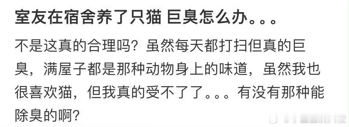 室友在宿舍里养了只猫 巨臭怎么办 ​ ​​​