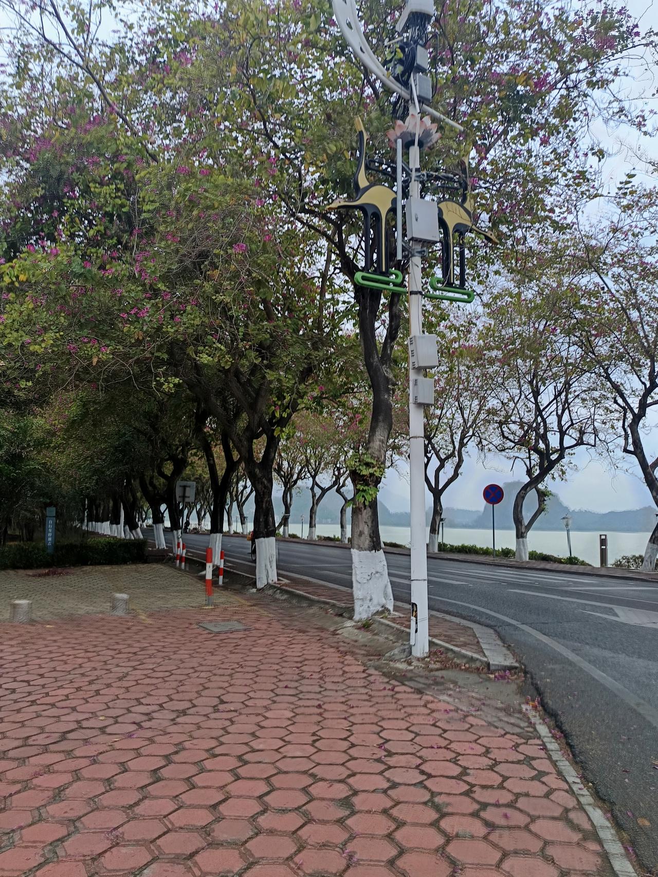 有一件事
我不知道怎么说才好
我发现一个很严重的问题



你敢相信吗？星湖旁边