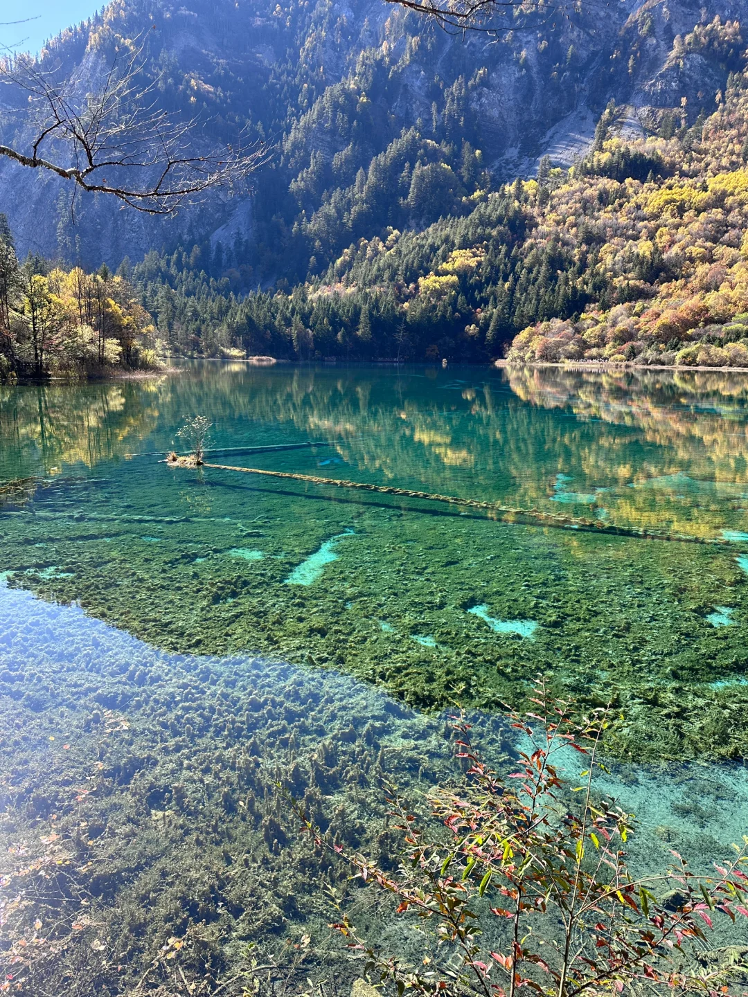 11.2九寨沟已回 晴天的九寨实在太美了
