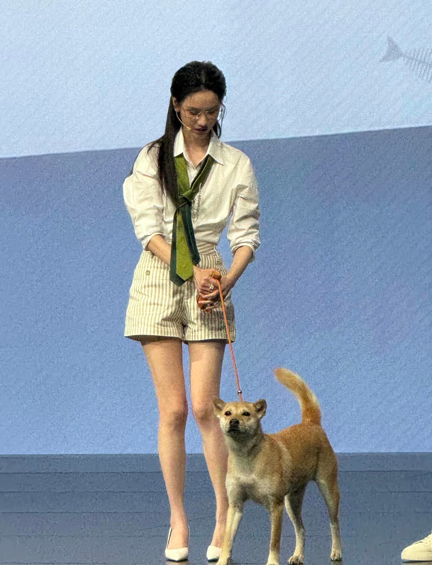 陈都灵活动牵了只狗陈都灵训狗 陈都灵训狗有道 