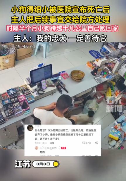 8月11日江苏宿迁，一小狗体质偏弱，因感染细小病毒被宠物医院宣告死亡，突如其来的