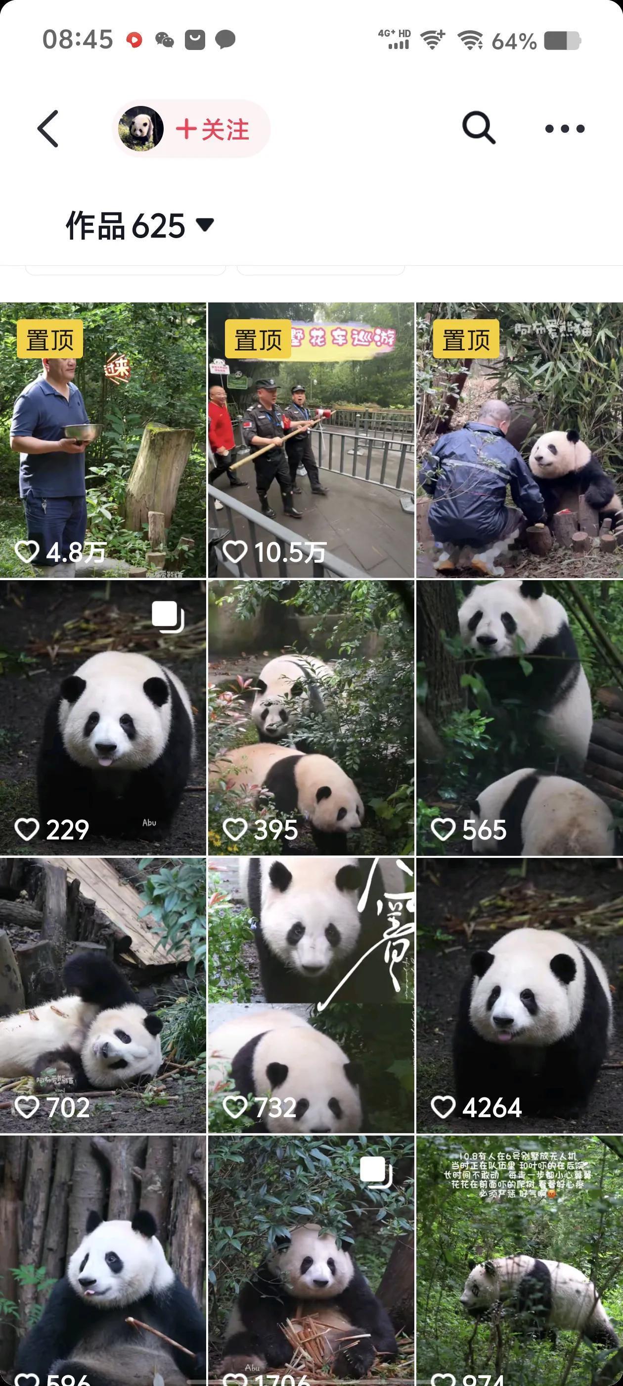 娜塔莎一家今天正常更新，预计9点半发布。
预测，除了已经剧透的去成都人民公园品茶