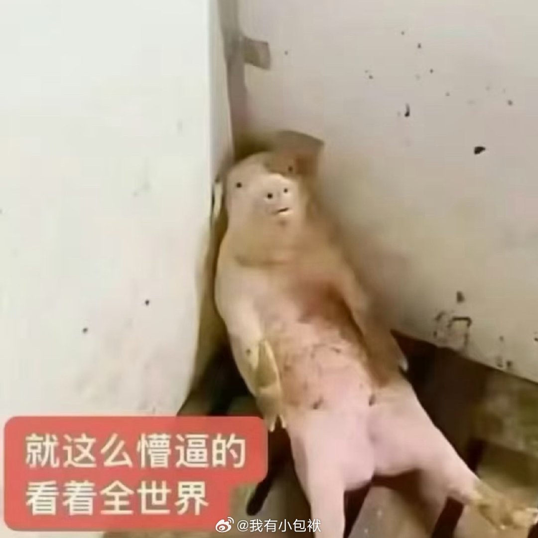 我的小红书坏了！！发了两个小时20个赞[笑cry]你们是不是刷不到 ​​​