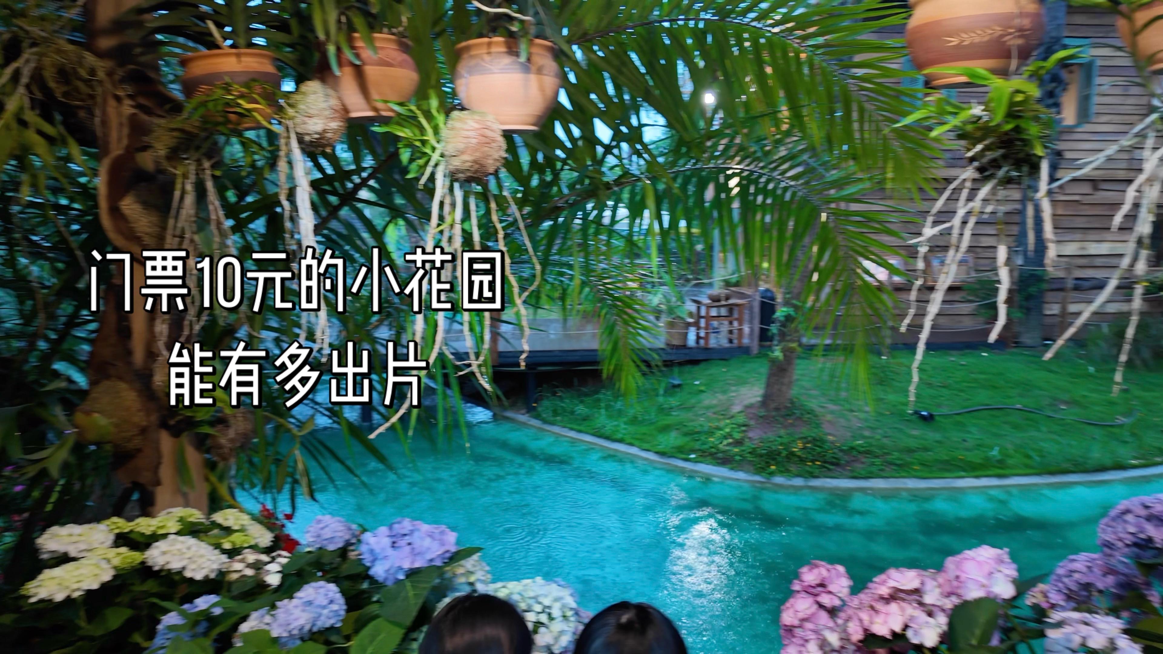 忽逢桃花林