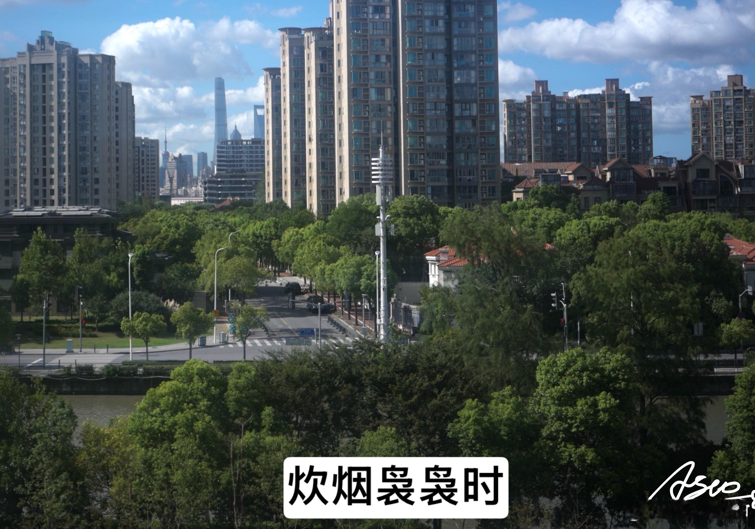 万家灯火日 炊烟袅升时食客阿苏日记 米咪稀希炒暴菜 黄昏→夜晚，温馨 得自其趣，