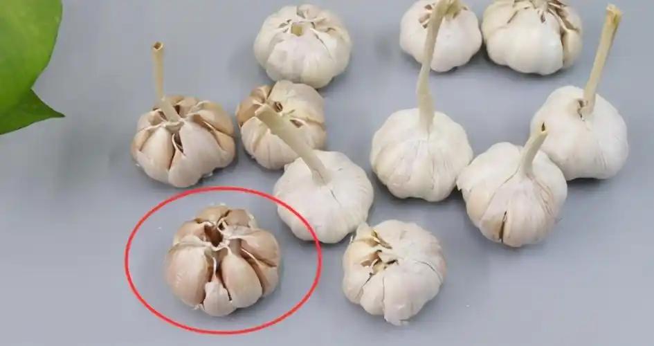 市场上的蒜基本有两种，一种闭口的一种开口的。闭口的，一次弄几斤常温下放三五个月也