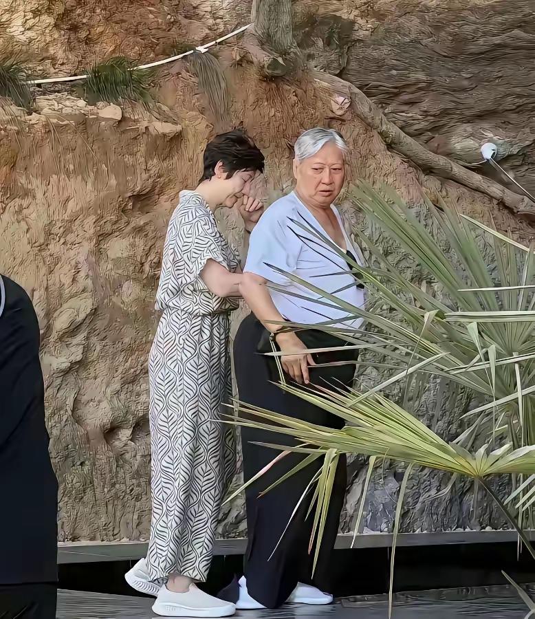 76岁洪金宝恩施拄拐：最能打的“胖子”，也到了要人扶的年纪 🦯

8月湖北恩施
