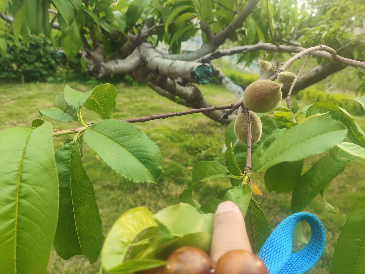 今年春天最想实现的心愿今天我为我的孩子祈福！愿我的儿子：承乾坤之正气，立天地之威