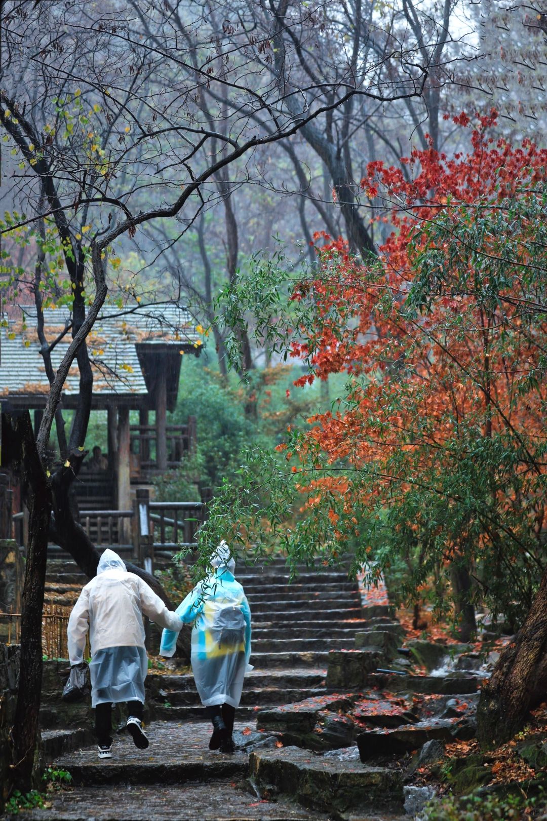 火车出京过周末第一站🍂躲进深山静谧城堡