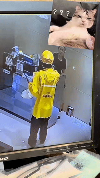 吧台女子突然下跪摔倒？
这把旁边的外卖小哥给看懵了？
最后女子只能尴尬的起身离开