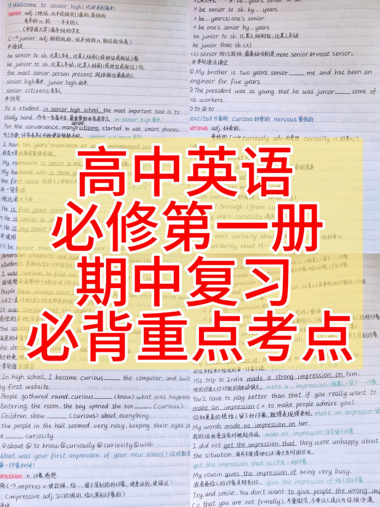 高中英语必修第一册，期中考试复习，各单元必背重要考点总结，根据不同的省份，版本，