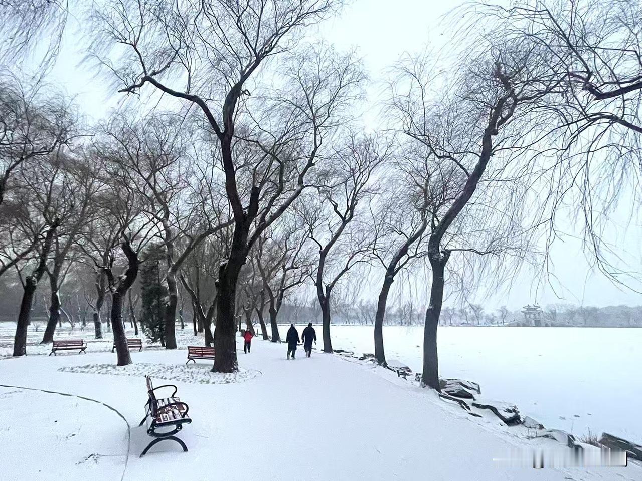 今天骑车出去转了一圈儿。

大马路的雪都给扫了，就是小区附近的小马路没人扫。走路