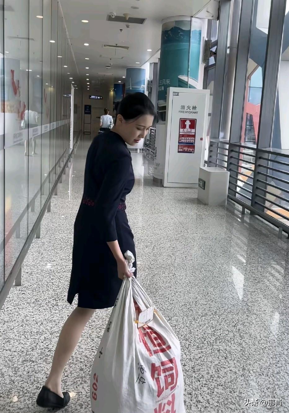 回家养猪 ，当包猪婆