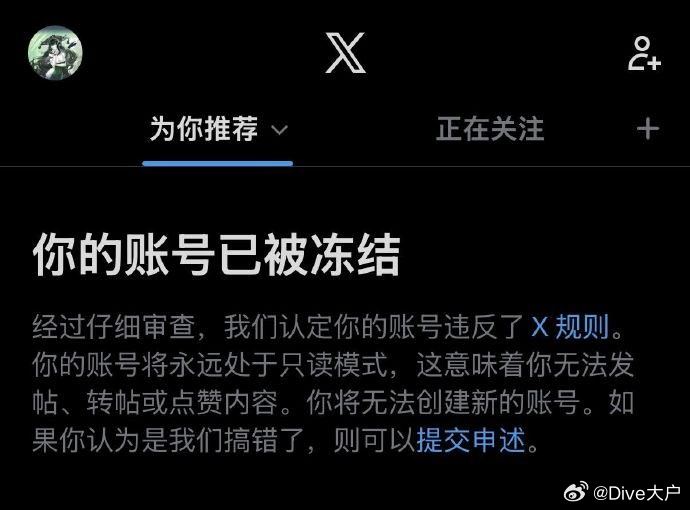 北美小XX 