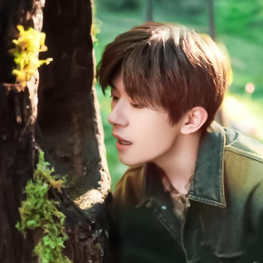 这年头一棵树都比我过得好